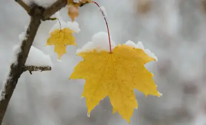 比什凯克将迎剧烈降温与今冬首场降雪