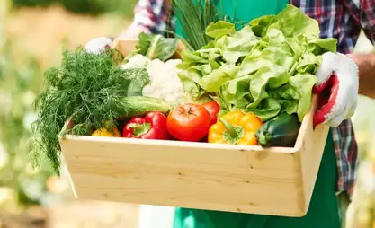 农业机械、特色农产、趣味竞赛：“农业科技博览会”与“金色秋天”展有哪些亮点