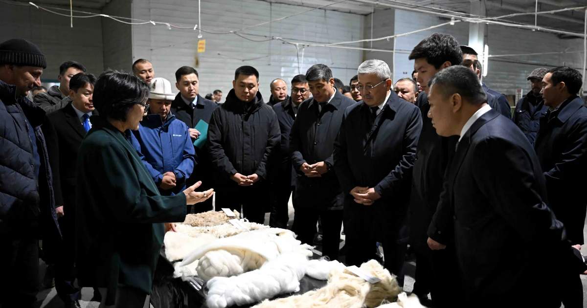 吉总理了解托克马克“卡西耶特”工厂羊毛集群发展战略