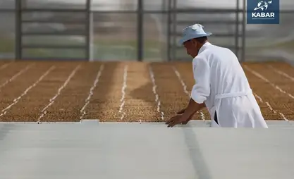 劳动部：劳动力市场现有8400个岗位空缺