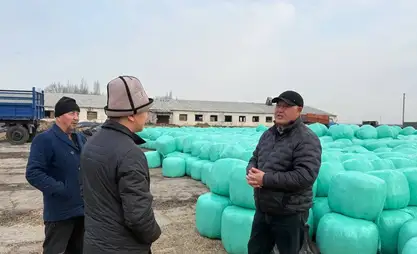 吉尔吉斯斯坦国家育种场青贮饲料储备工作积极推进