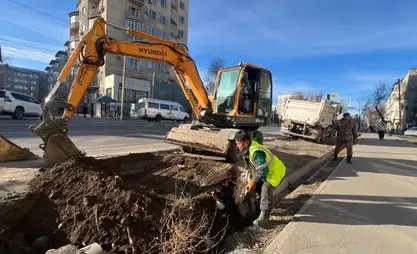 比什凯克持续推进树桩清除工作