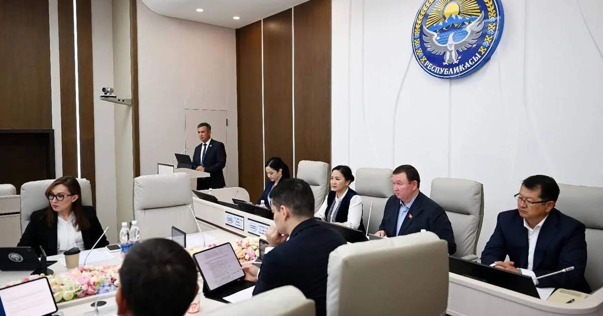 吉尔吉斯斯坦议会委员会听取中央选举委员会主席年度报告