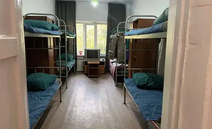 比什凯克流浪者收容所已为秋冬季做好准备