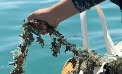 扎帕罗夫总统呼吁放弃使用渔网并主动上交