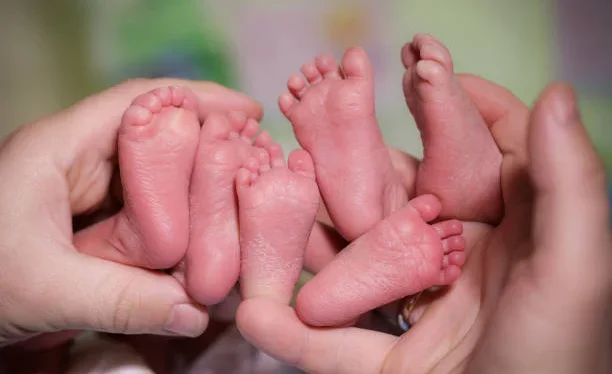 istockphoto-8700346.2e16d0ba.format-webp.fill-1668x1014