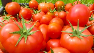 maxresdefault_.max-2560x1440.format-webp.jpegquality-90