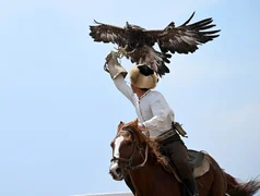 photo_52065454.max-2560x1440.format-webp.jpegquality-90