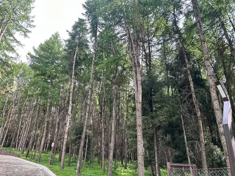 photo_52965091_HF2nRfB.max-2560x1440.format-webp.jpegquality-90.webp
