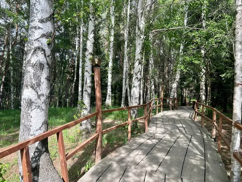 photo_52965091_XSVfjdB.max-2560x1440.format-webp.jpegquality-90.webp
