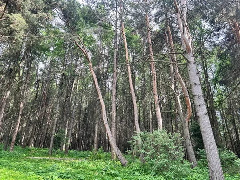 photo_52965091_n5MMYlv.max-2560x1440.format-webp.jpegquality-90.webp